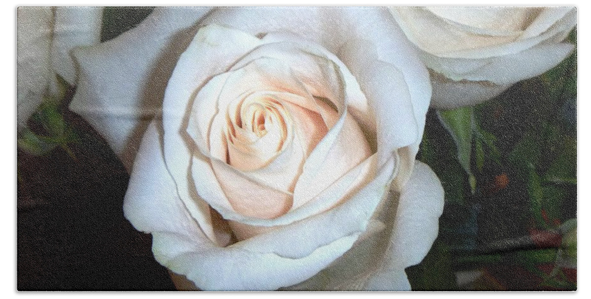 Creamy Roses Beach Towel featuring the photograph Creamy Roses III by Alys Caviness-Gober