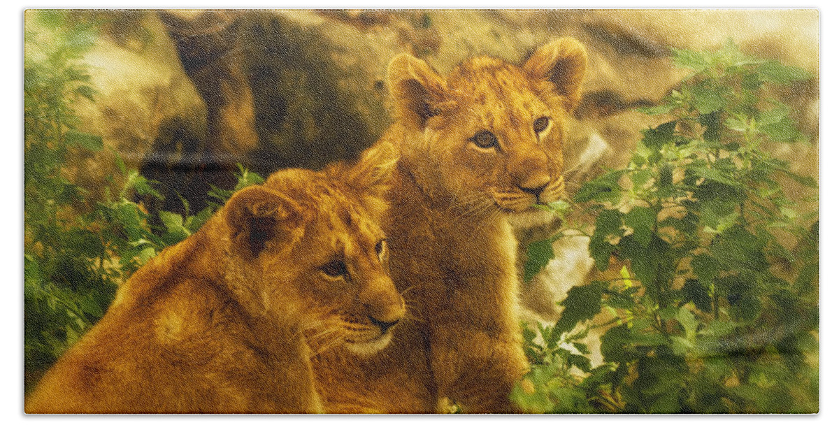 Lion Cubs Beach Sheet featuring the photograph Cubs by Linda Tiepelman