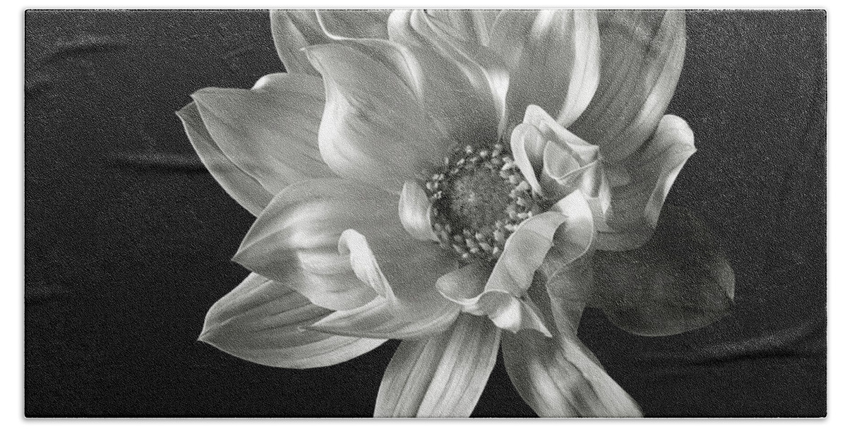 Flower Beach Towel featuring the photograph Dahlia in Black and White by Endre Balogh