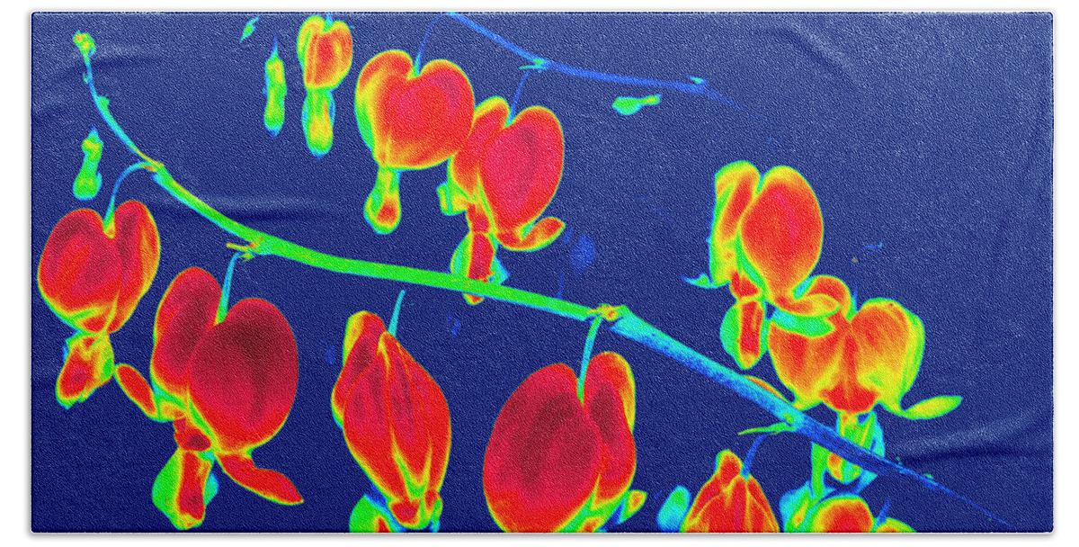 Butterfly Beach Towel featuring the photograph Dancing Hearts by Kim Galluzzo