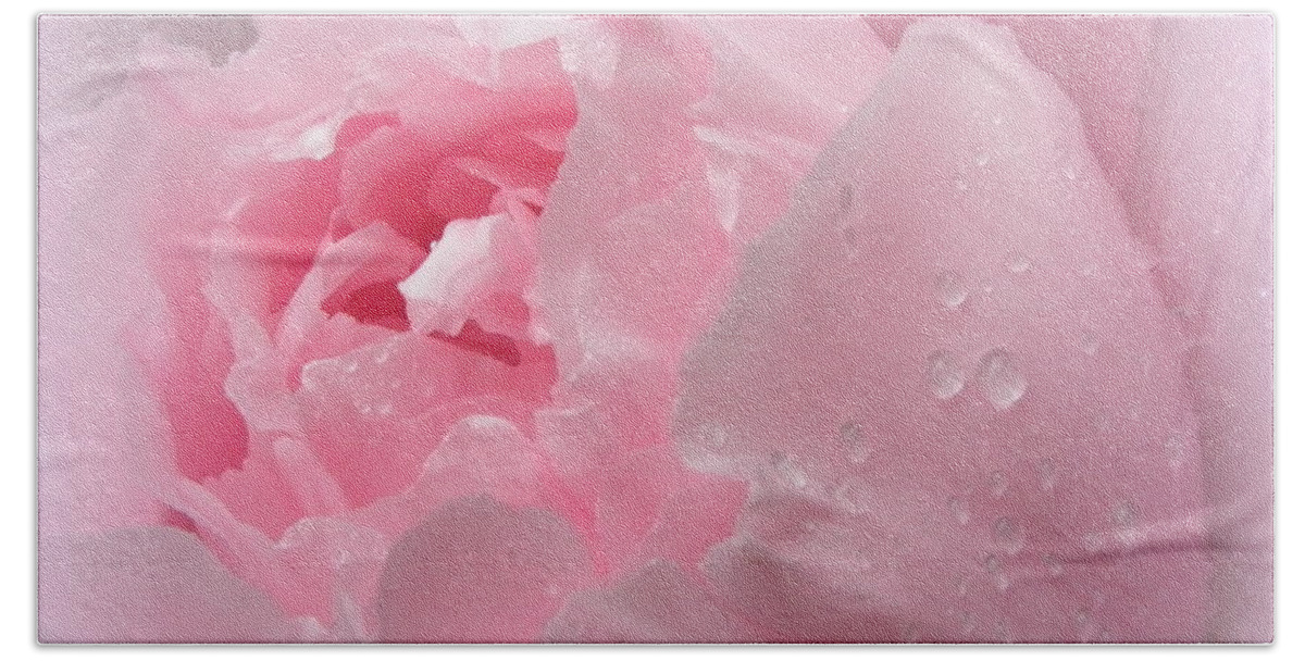 Pink Beach Towel featuring the photograph Delicate Pink by Kim Galluzzo