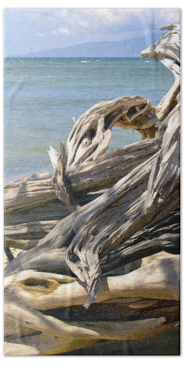 Driftwood Photography Beach Sheet featuring the photograph Driftwood II by Patricia Griffin Brett