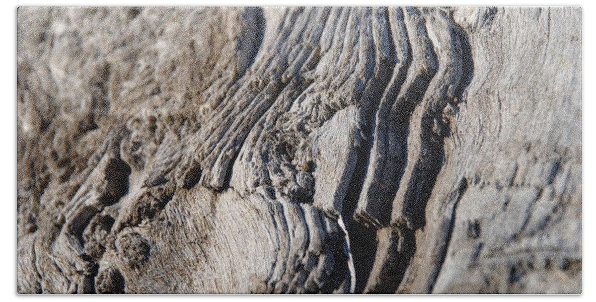 Driftwood Beach Sheet featuring the photograph Driftwood by Michael Merry