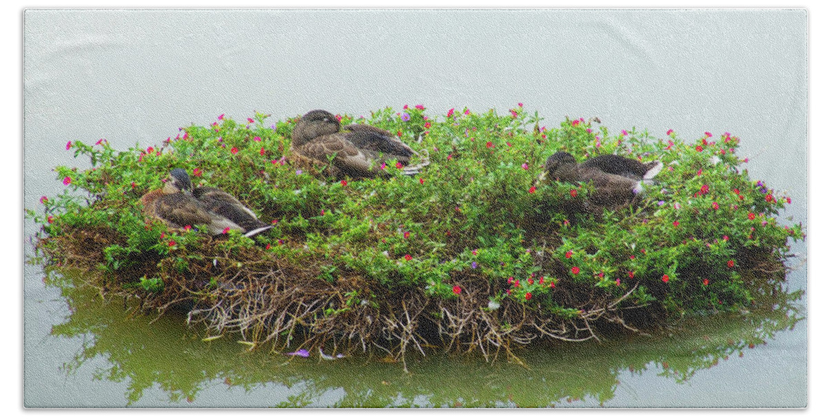 Floating Wreath Beach Sheet featuring the photograph Duck Heaven by S Paul Sahm