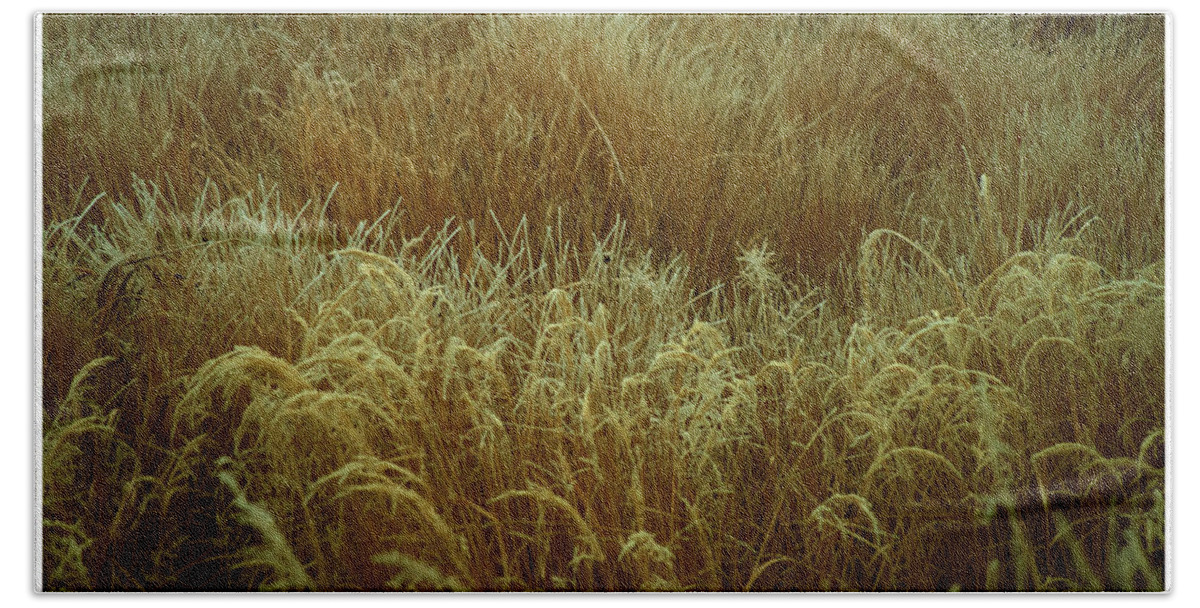 Grass Beach Towel featuring the photograph Early Fall Frost by Mark Ivins