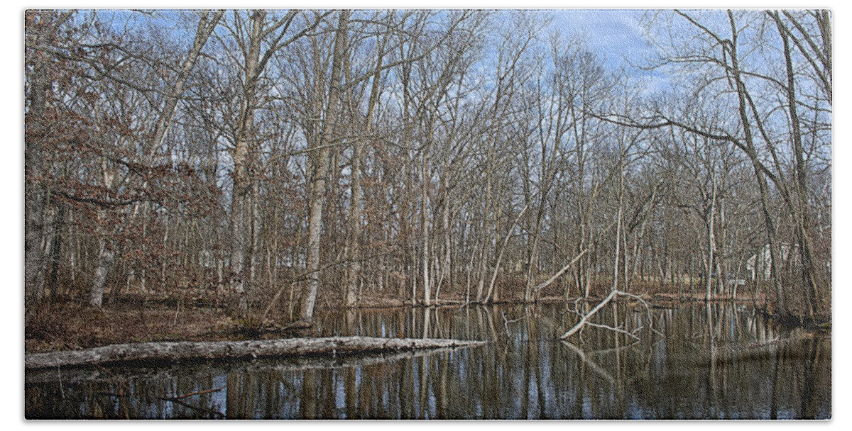 Pond Beach Towel featuring the photograph Early Spring Reflections by Scott Wood
