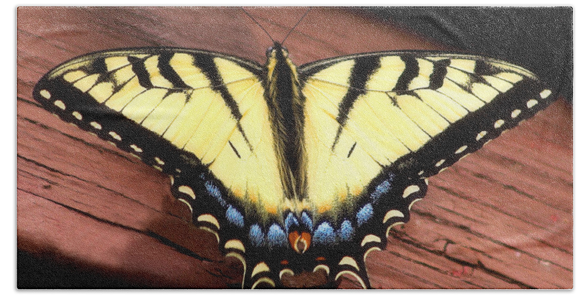 Butterfly Beach Towel featuring the photograph Eastern Tiger Swallowtail by Terry Doyle