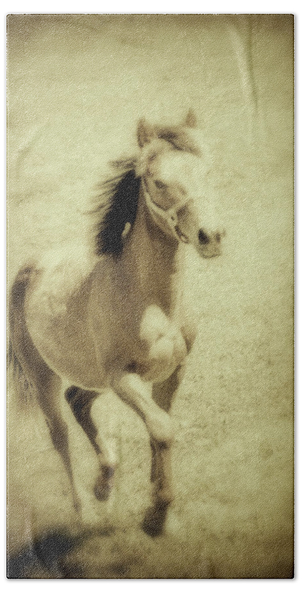 Horse Beach Towel featuring the photograph Easy Spirit by Karol Livote