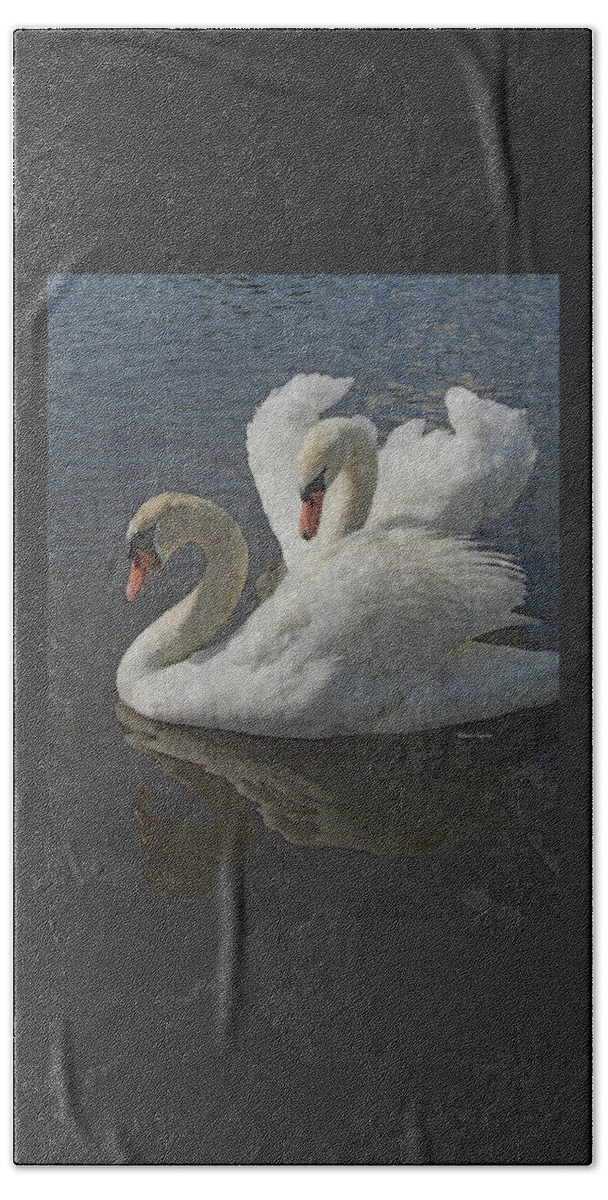Enamored Beach Towel featuring the photograph Enamored by Rebecca Samler