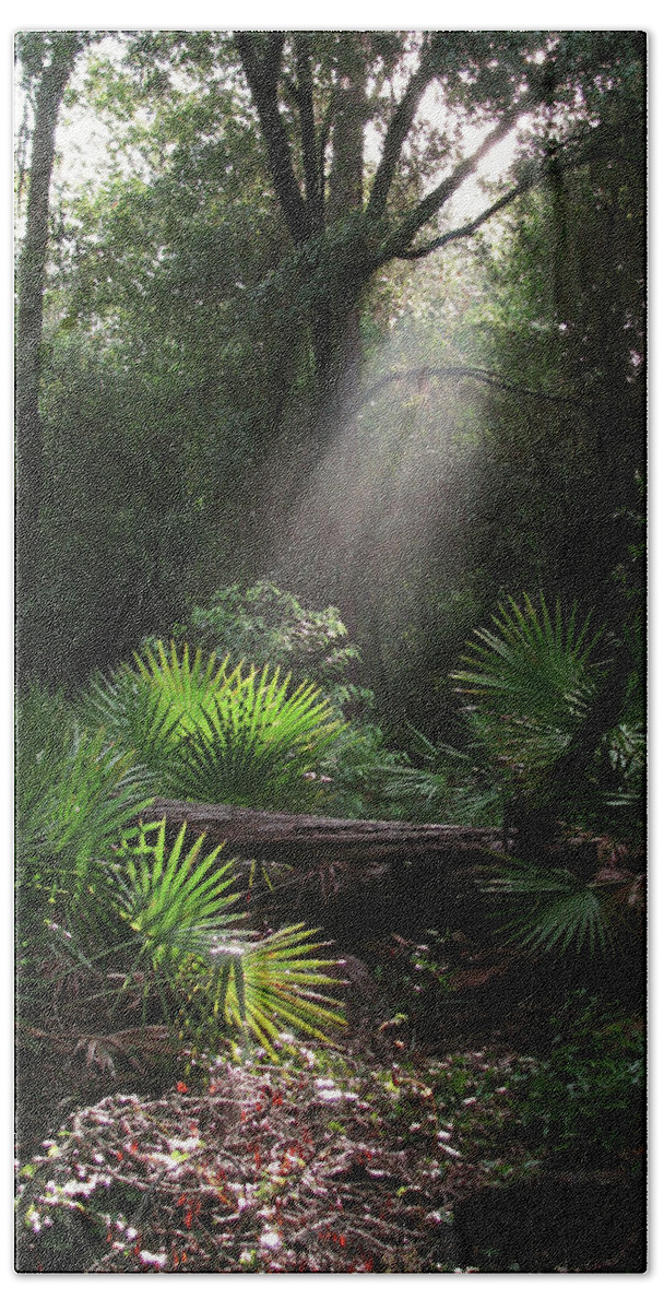 Nature Beach Sheet featuring the photograph Enchanted Forest by Peggy Urban