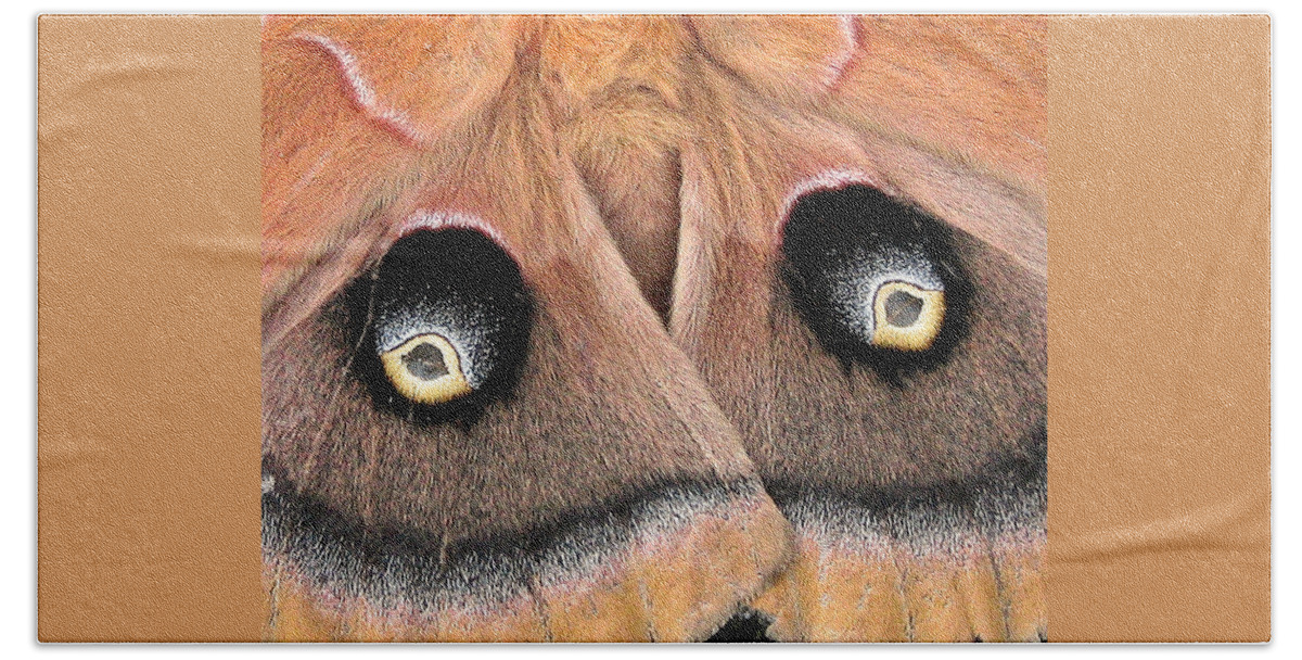 Nature Beach Sheet featuring the photograph Eyes of Deception by Peggy Urban