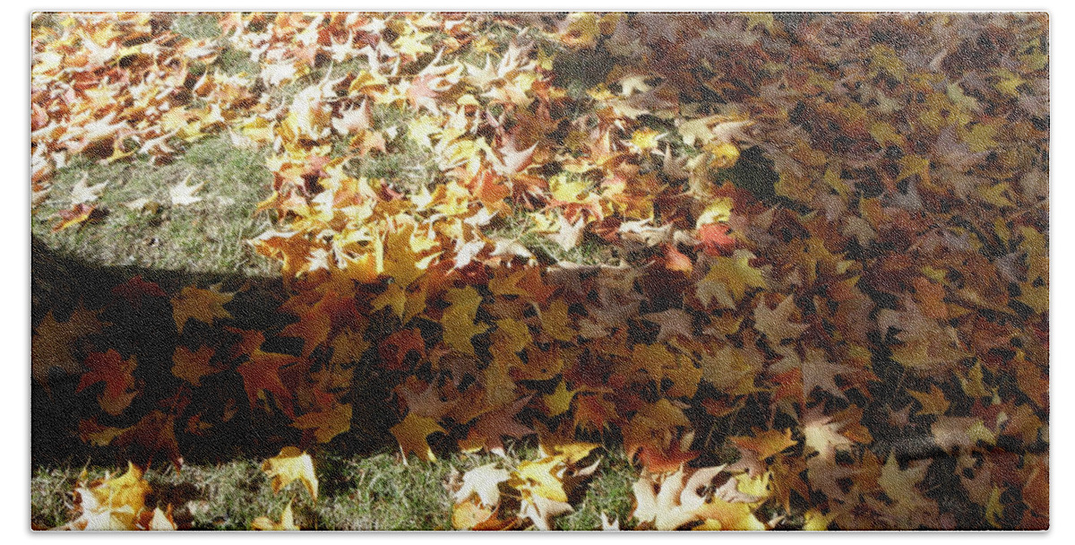 Leaves Beach Towel featuring the photograph Fallen Leaves by Kim Galluzzo