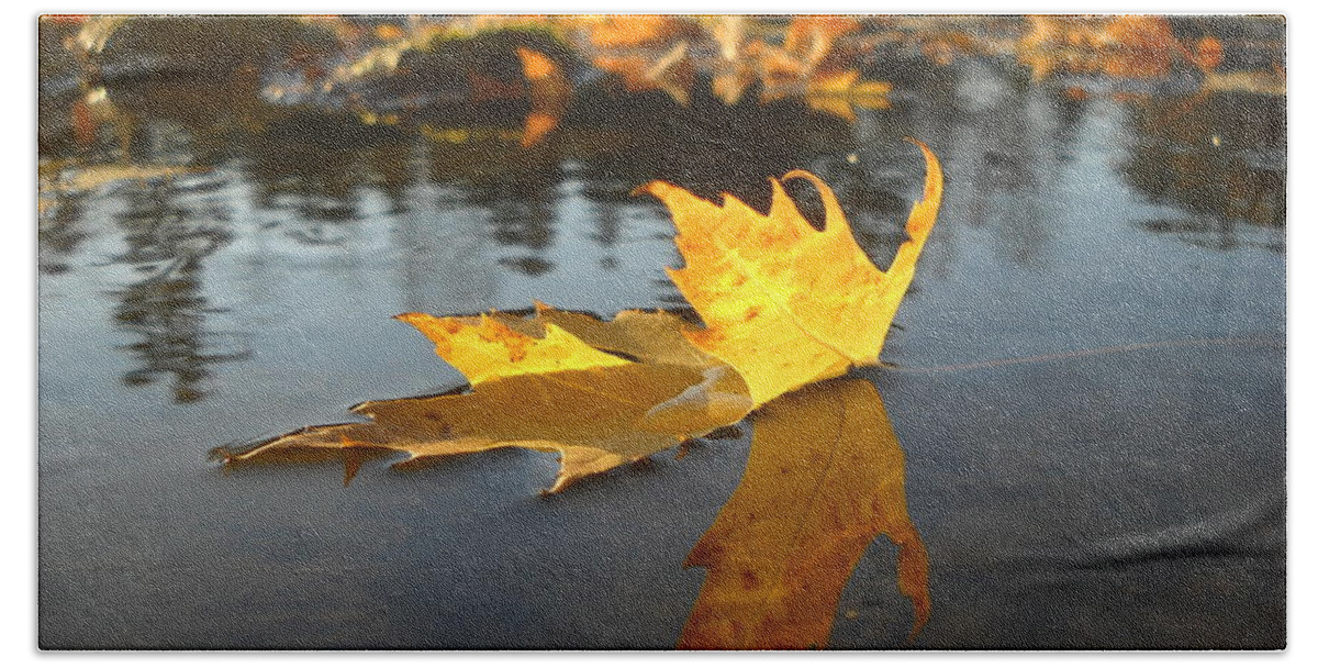 Close Up Beach Towel featuring the photograph Fallen Maple Leaf Reflection by Kent Lorentzen