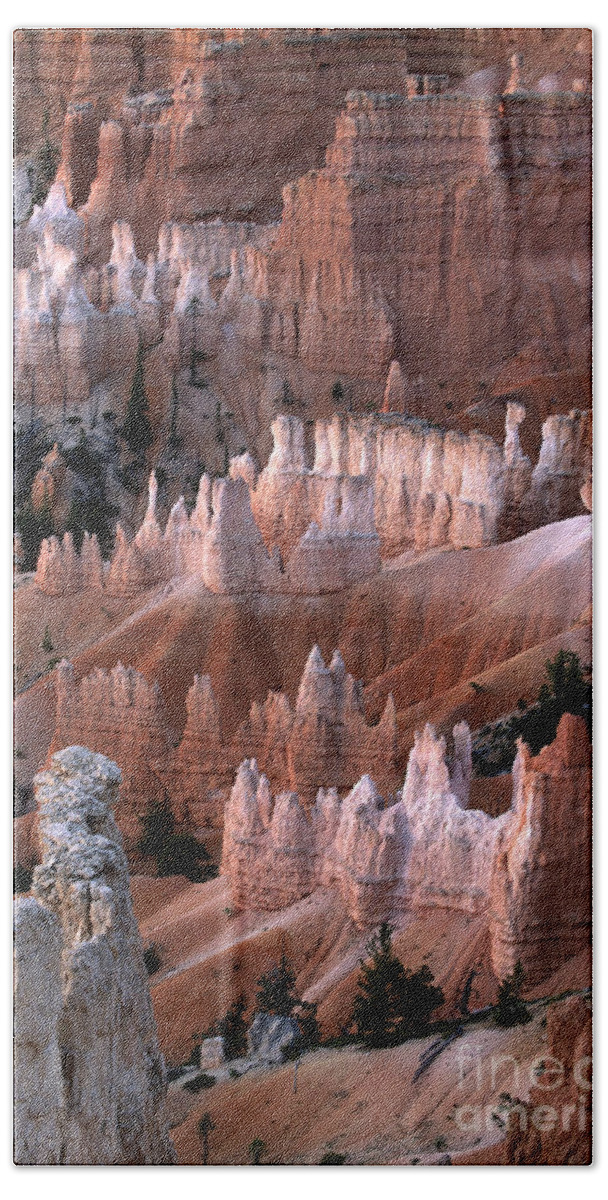 Sandra Bronstein Beach Sheet featuring the photograph First Light in Bryce Canyon by Sandra Bronstein