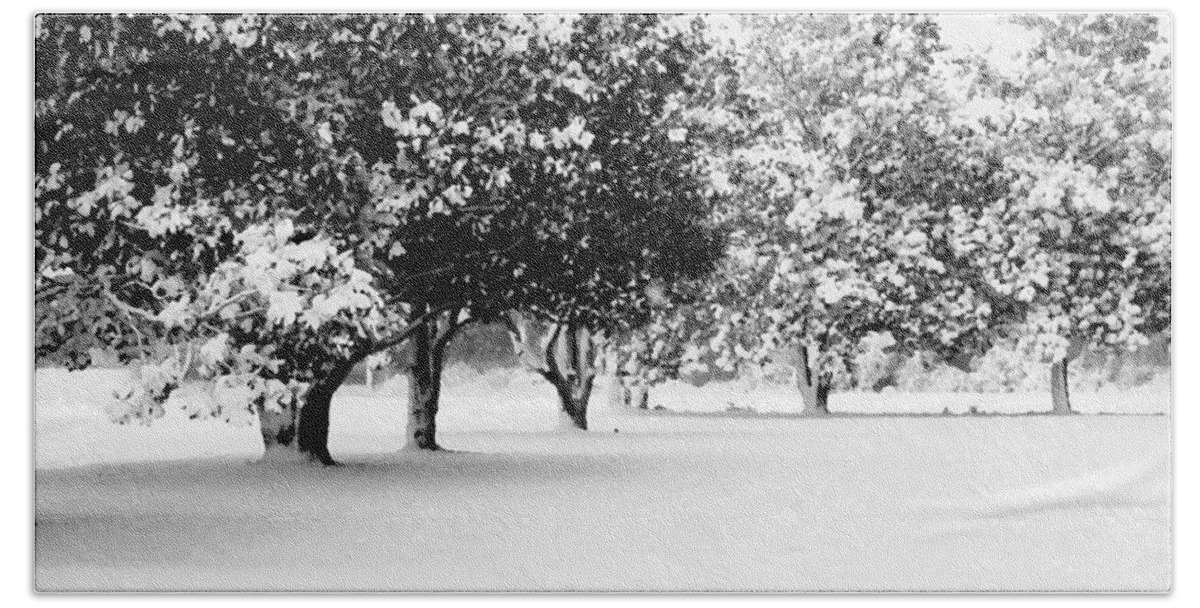 Nature Beach Towel featuring the photograph First Snow by Hannah Appleton