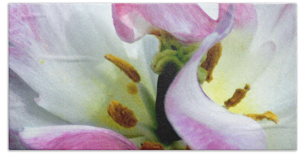 Flower Beach Sheet featuring the photograph Flower Close Up Squared by Ronald Grogan