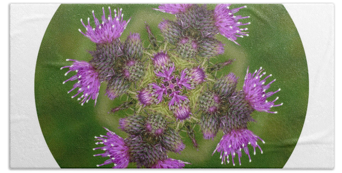 Scottish Thistle Beach Towel featuring the photograph Flower of Scotland by Lynn Bolt