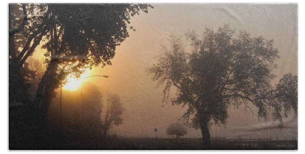 Fog Beach Towel featuring the photograph Foggy Morn Street by Tim Nyberg