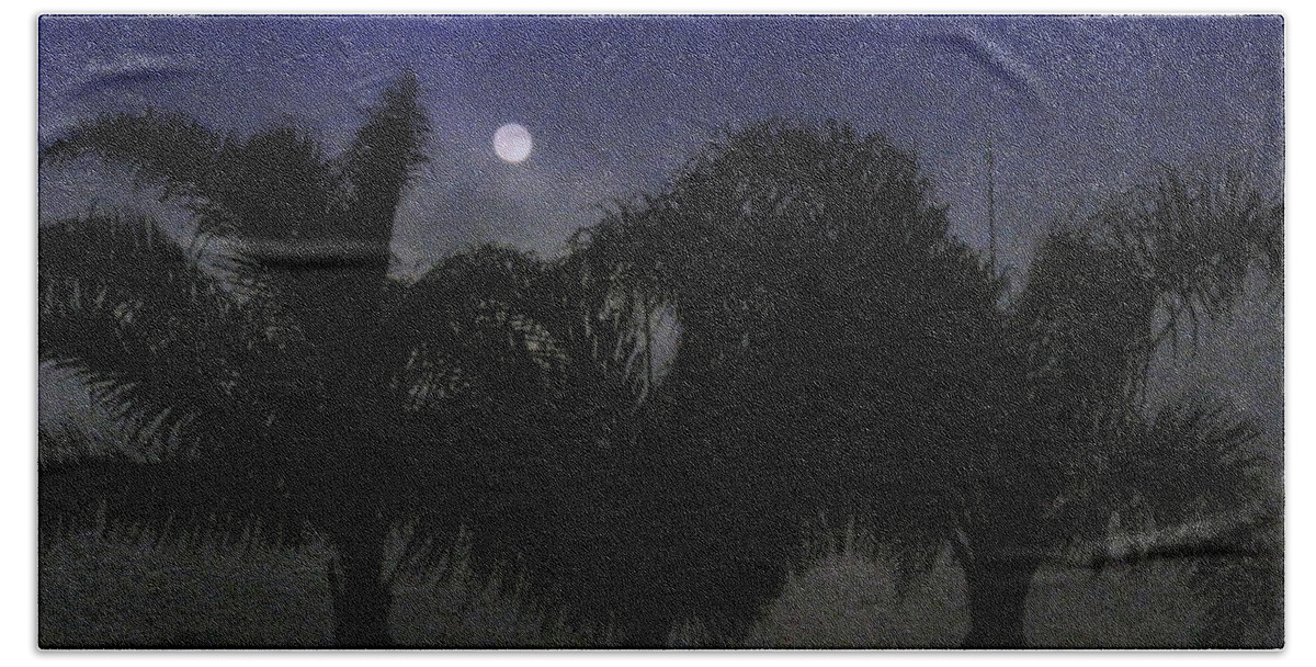 Full Moon Beach Towel featuring the photograph Full Moon Fever by Linda Larson