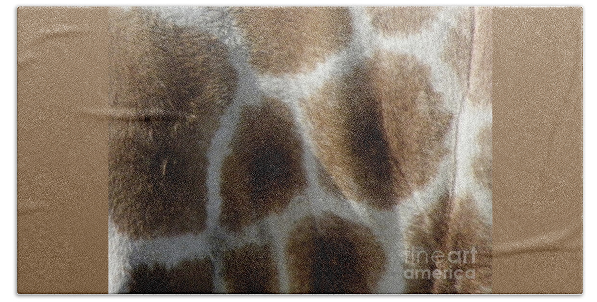 Giraffe Beach Towel featuring the photograph Giraffe Body Print by Kim Galluzzo Wozniak