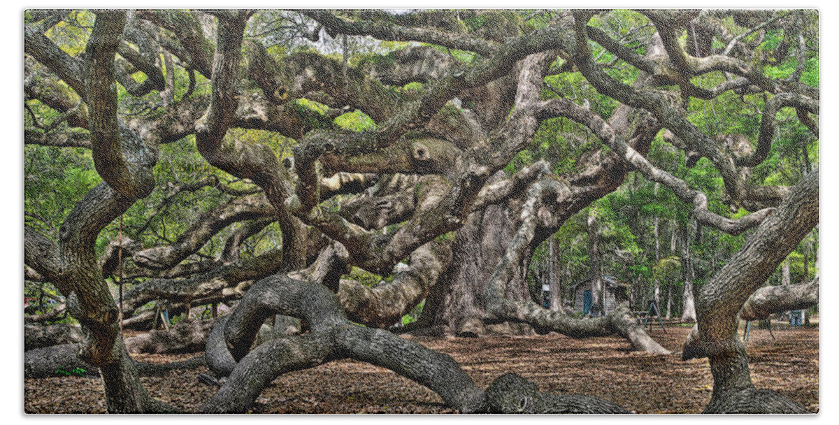 Charleston Beach Towel featuring the photograph Gnarled by Andrew Crispi