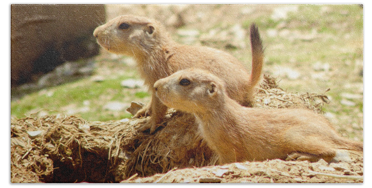 Prairie Dog Beach Sheet featuring the photograph Go West Young Man by Trish Tritz