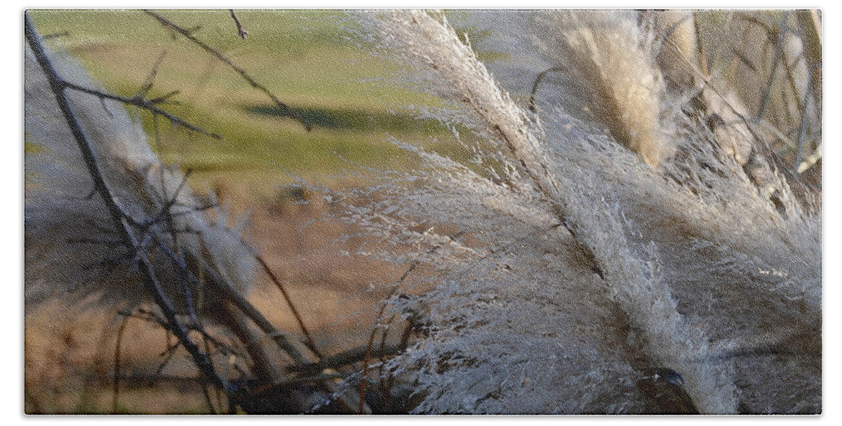 Golf Course Beach Towel featuring the photograph Golf Course Grasses by Bill Owen
