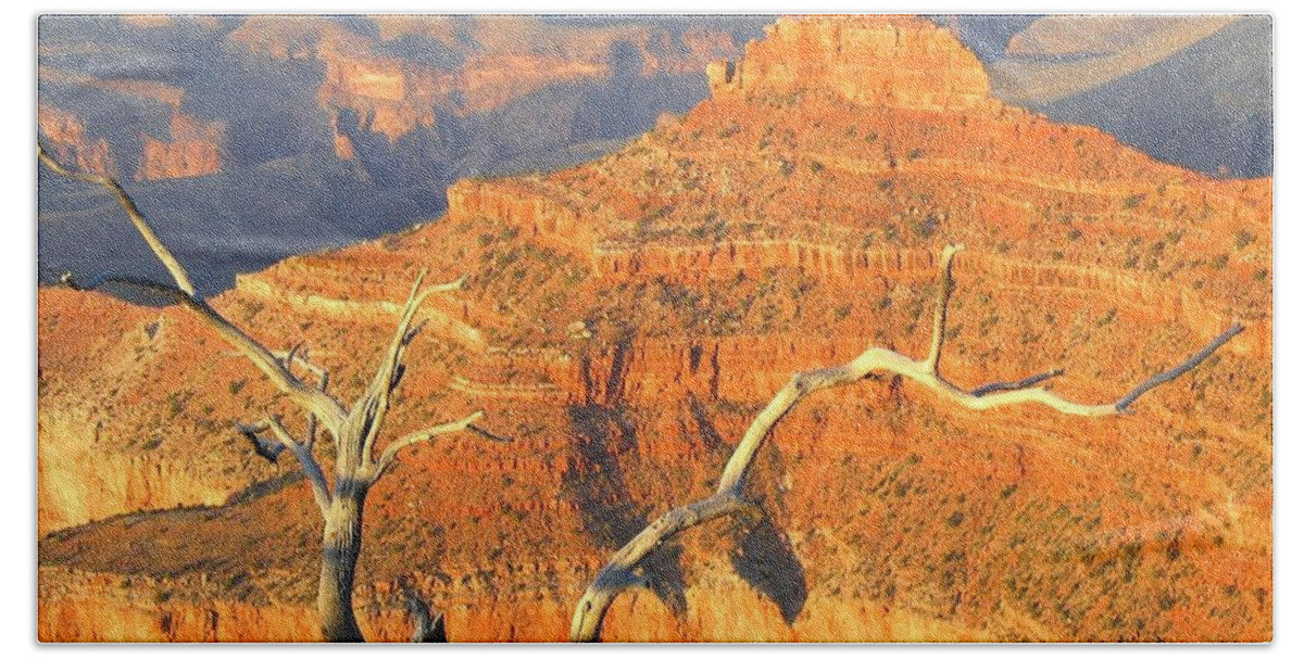 Grand Canyon Beach Towel featuring the photograph Grand Canyon 40 by Will Borden