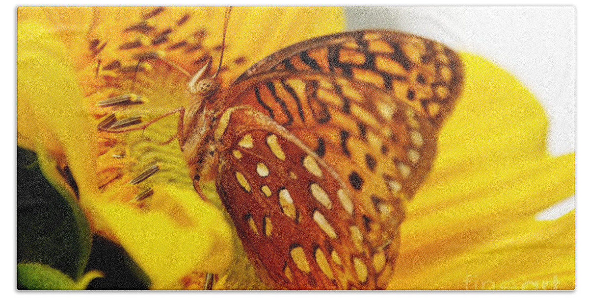 Insects Beach Towel featuring the photograph Great Spangled Fritillary by Cheryl Baxter