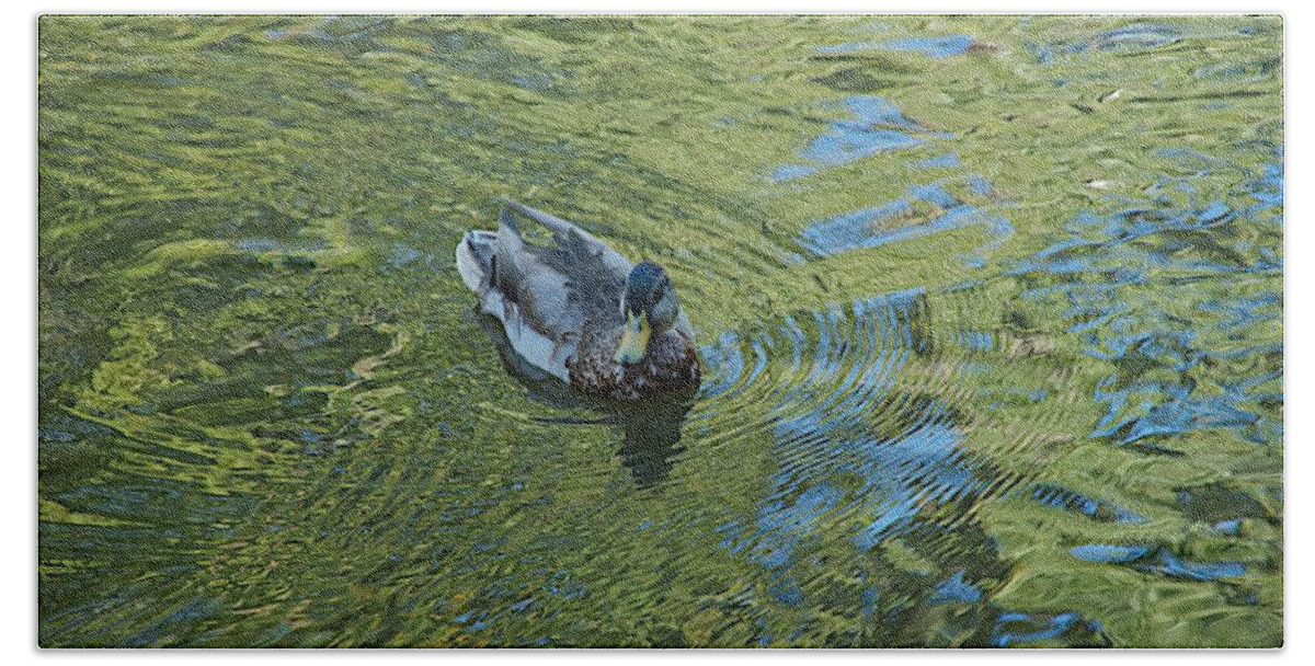 Duck Beach Towel featuring the photograph Green Pool by Joseph Yarbrough