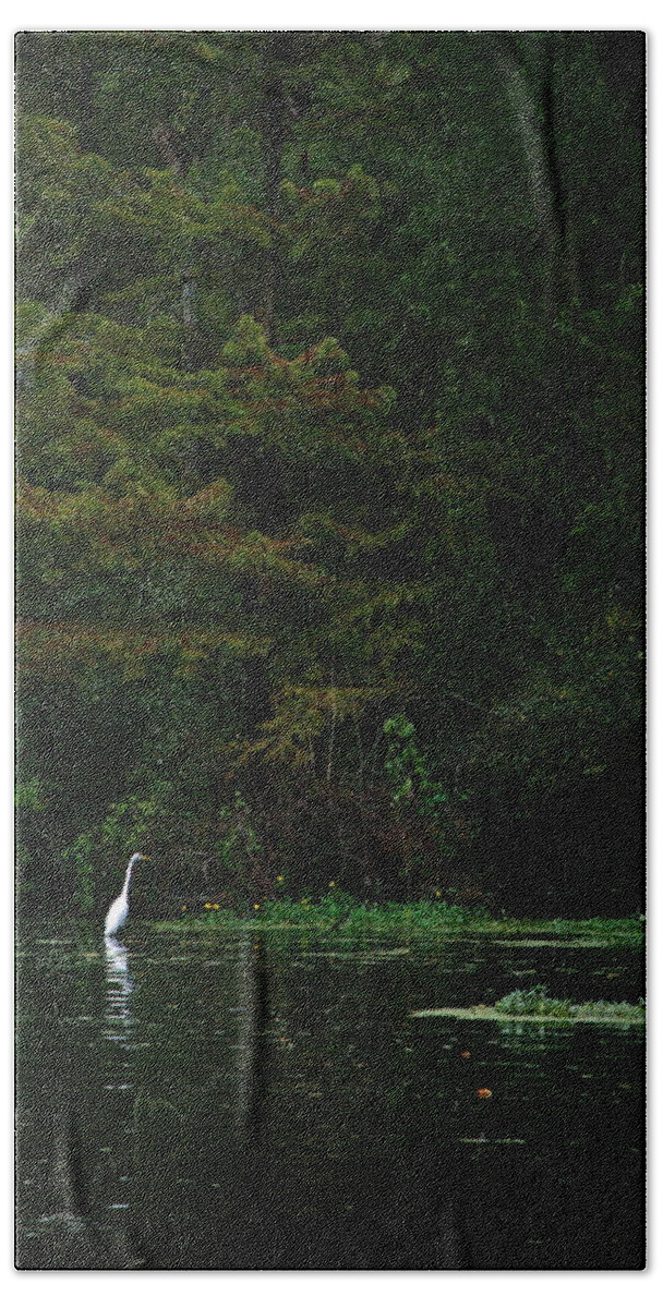 Louisiana Beach Towel featuring the photograph Green Solitude by Ron Weathers