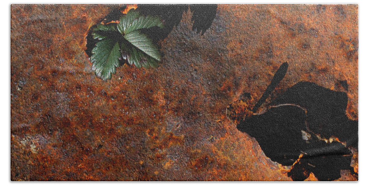 Abstract Beach Sheet featuring the photograph Green Versus Rust by Sue Capuano