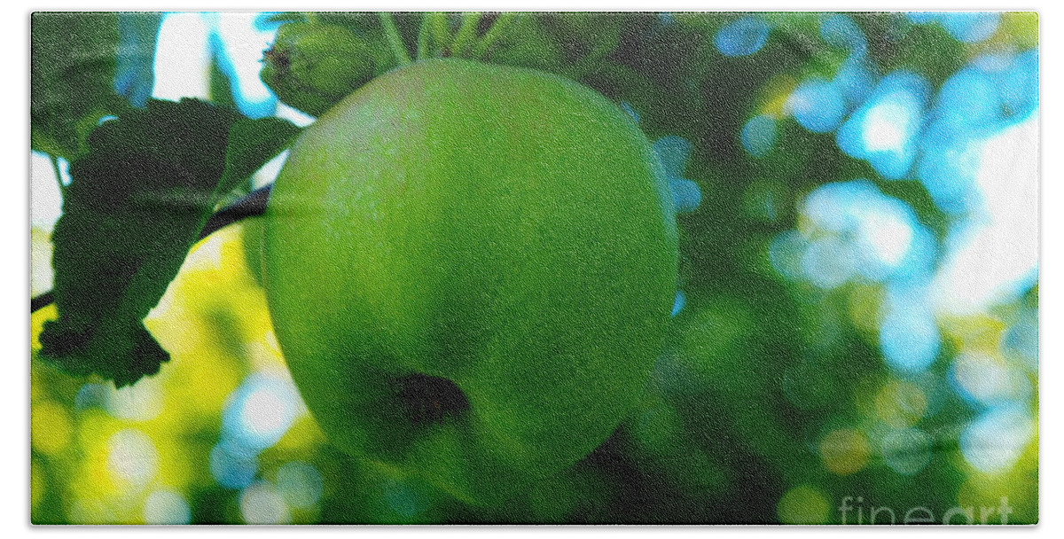 Farm Beach Towel featuring the photograph Hanging Apple by Jeff Swan