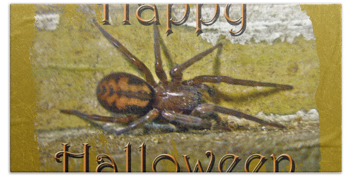 Halloween Beach Towel featuring the photograph Happy Halloween Spider Greeting Card by Carol Senske