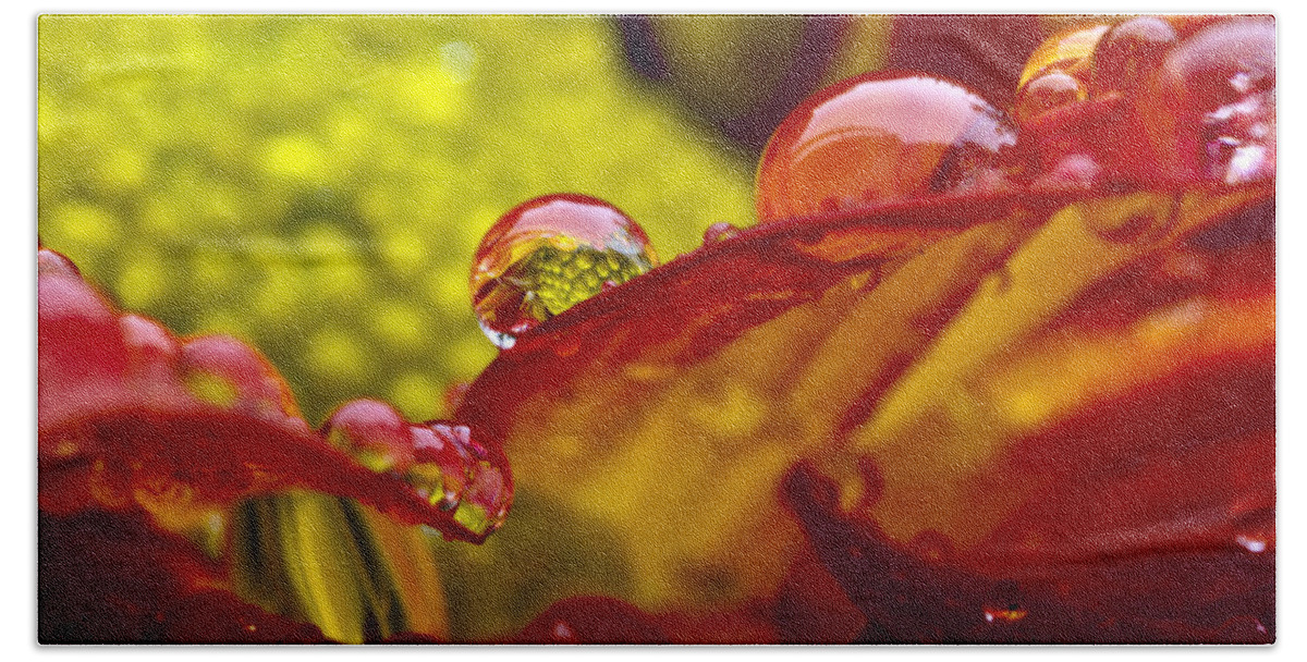 Droplet Beach Sheet featuring the photograph Here Comes The Rain by Edward Kreis