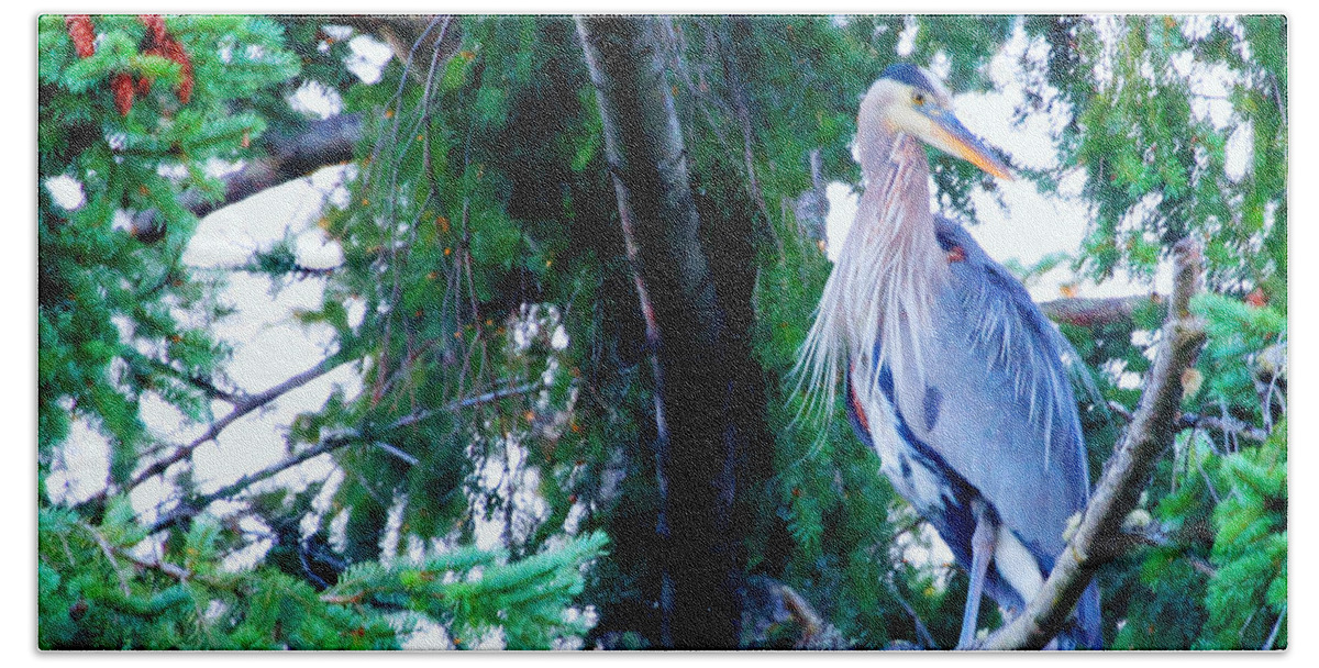 Great Blue Heron Beach Towel featuring the photograph Heron by Tap On Photo
