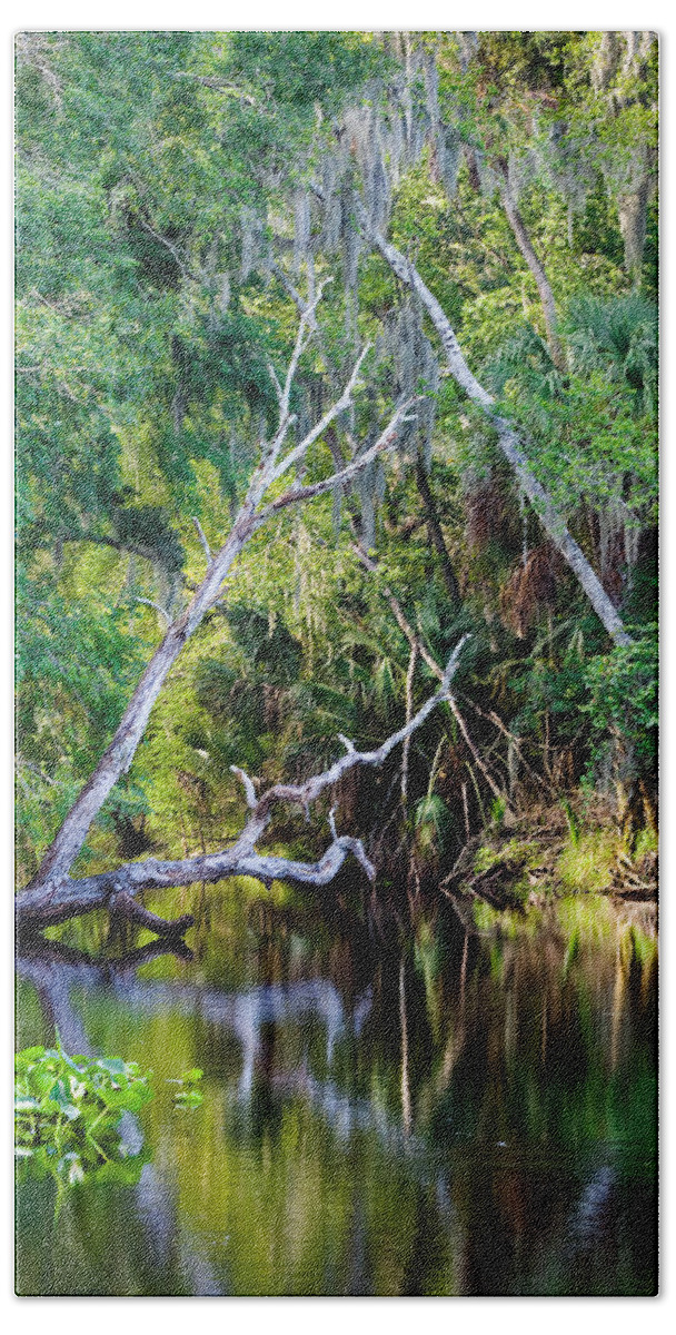 Florida Beach Towel featuring the photograph Hillsborough River at Morris Bridge Wilderness Park by Ed Gleichman