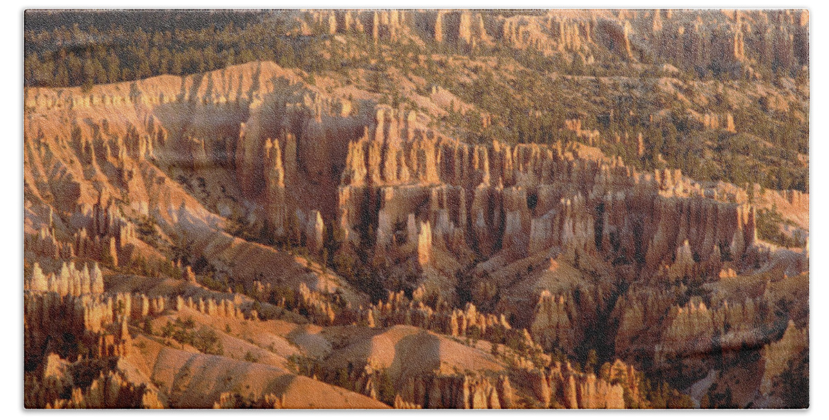 Mp Beach Towel featuring the photograph Hoodoo Formations In Bryce Amphitheater by Gerry Ellis