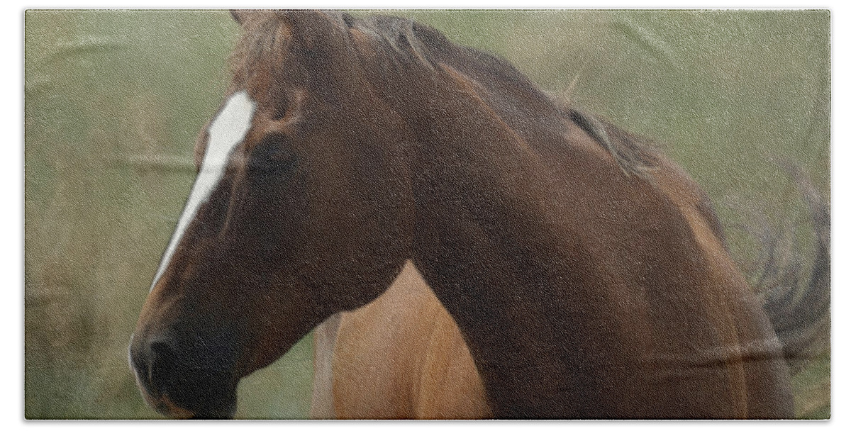 Horse Beach Towel featuring the digital art Horse Painterly by Ernest Echols