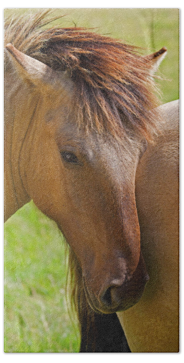 Horse Beach Towel featuring the photograph Horse portrait by David Freuthal