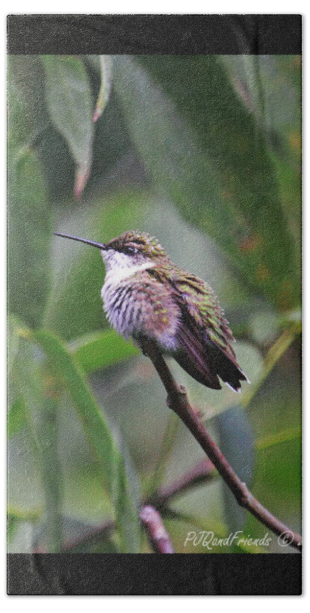 Beach Towel featuring the photograph 'Hummer in the Summer' by PJQandFriends Photography