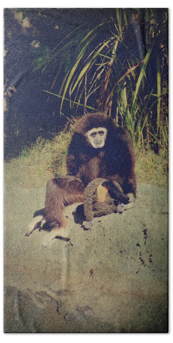 Primates Beach Towel featuring the photograph I Need a Hug by Laurie Search