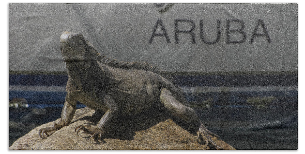 Iguana Beach Sheet featuring the photograph Iguana by David Gleeson