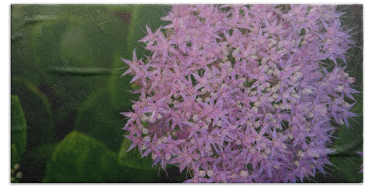 Flower Beach Towel featuring the photograph Inner White by Joseph Yarbrough