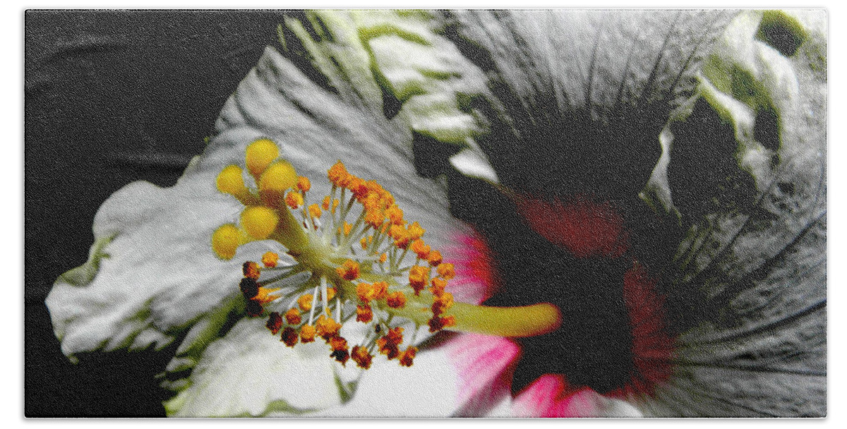 Hibiscus Beach Towel featuring the photograph Intensified by Kim Galluzzo