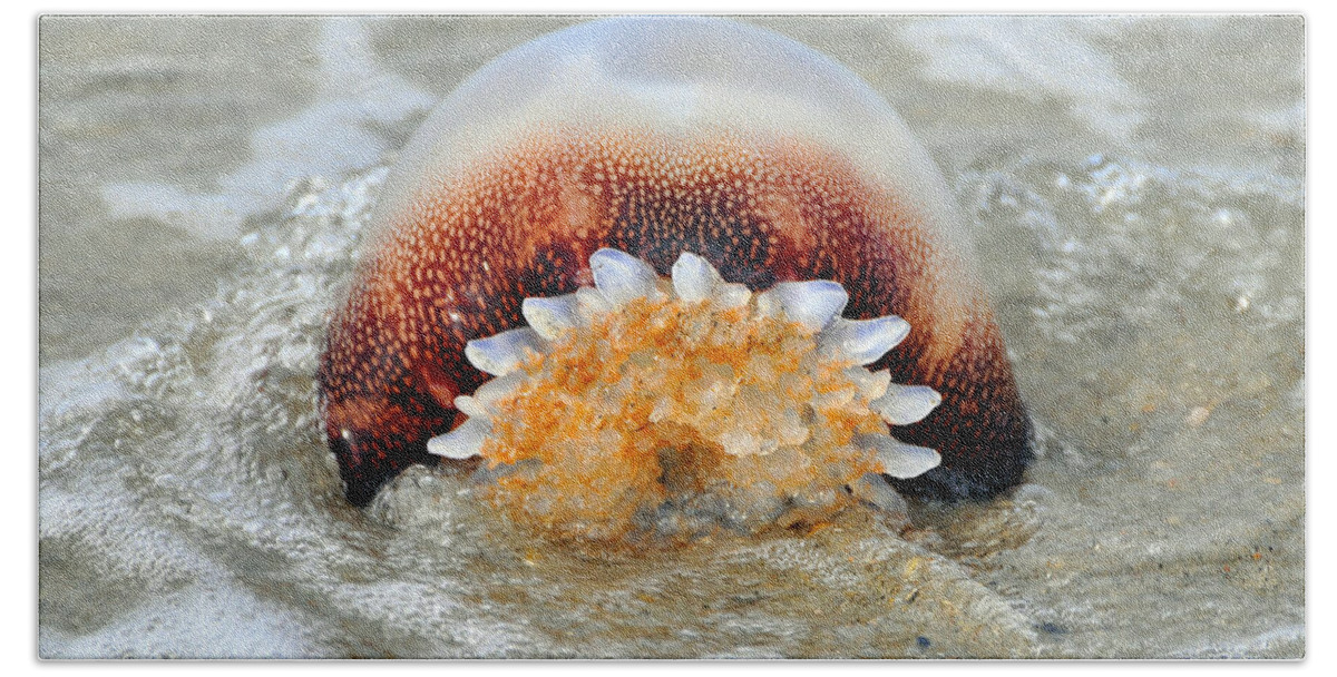 Jellyfish Beach Towel featuring the photograph Jelly in a Jam by Al Powell Photography USA