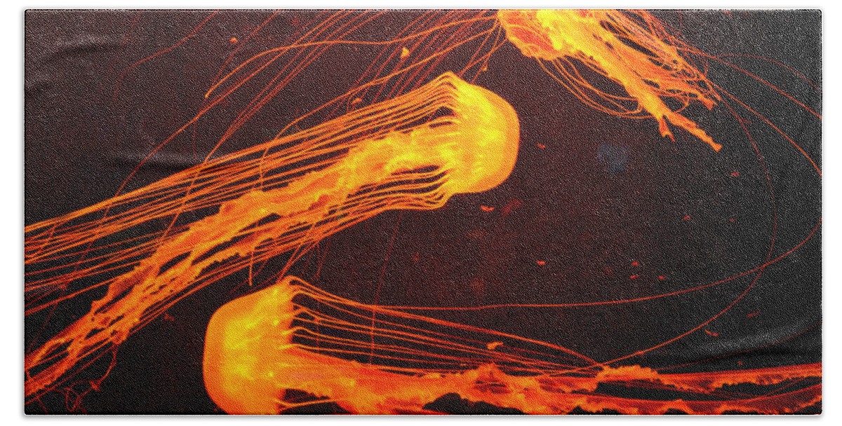 Jellyfish Beach Towel featuring the photograph Jellyfish Abstract by Sandi OReilly