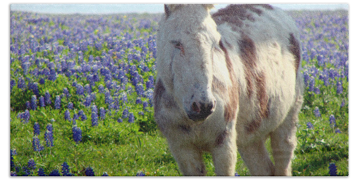 Donkey Beach Towel featuring the photograph Jesus Donkey In Bluebonnets by Linda Cox