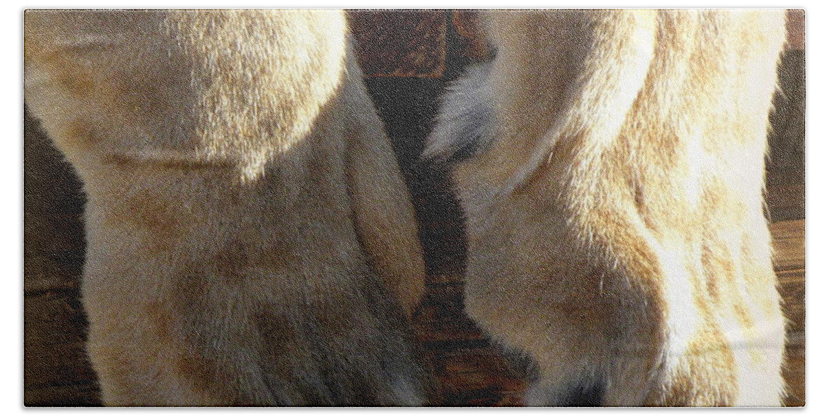 Lion Beach Towel featuring the photograph Kitty Paws by Kim Galluzzo