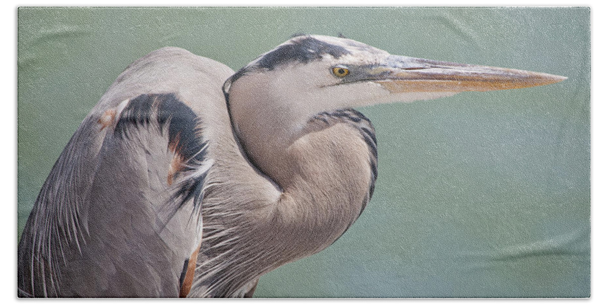 Great Blue Heron Beach Sheet featuring the photograph La Garza by Steven Sparks